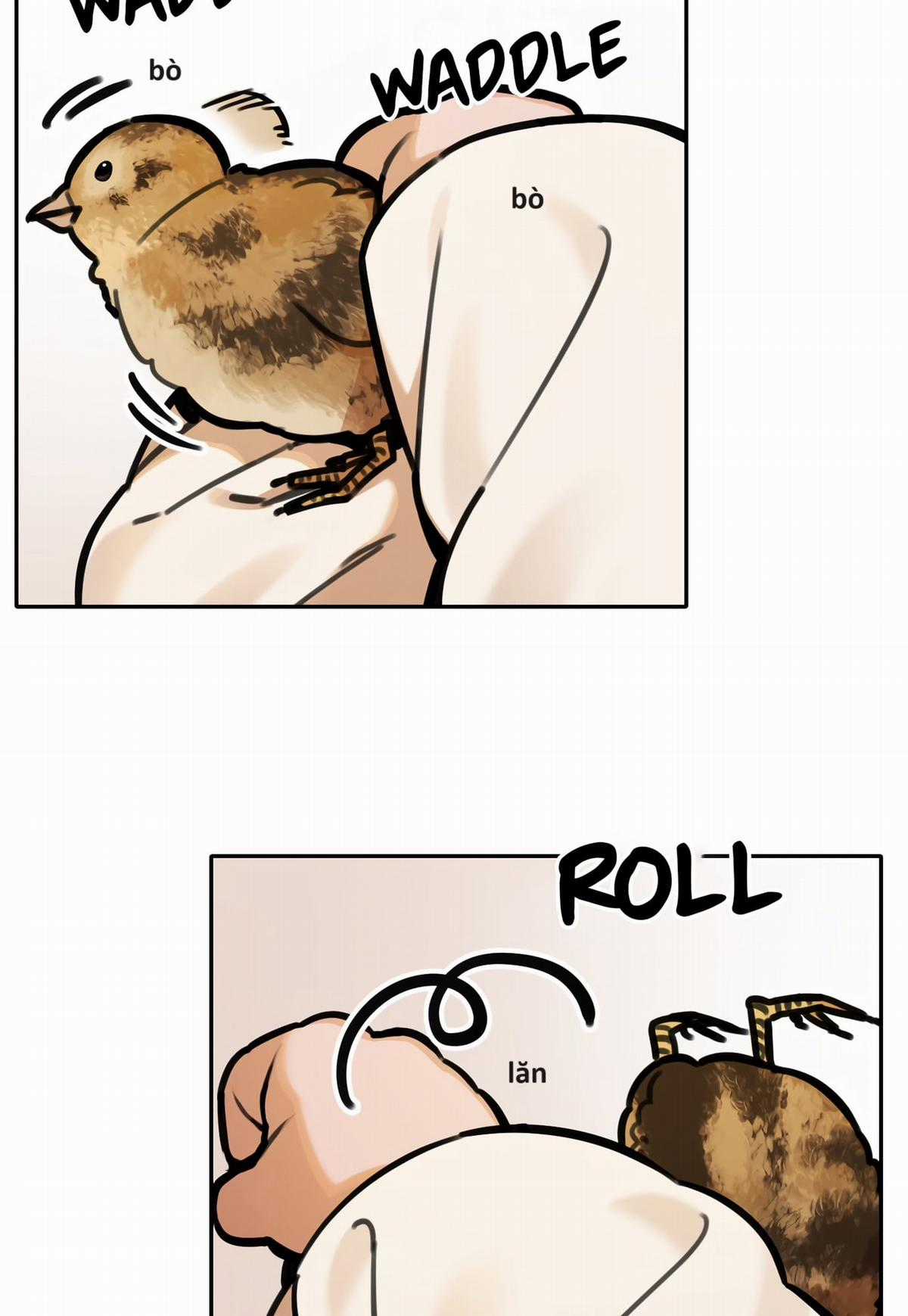 Hổ Đến Chơi Nhà (bản Puchimasu Tự) Chapter 68 trang 66