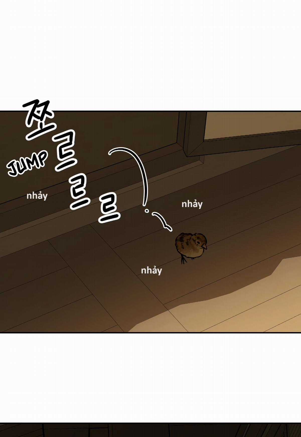 Hổ Đến Chơi Nhà (bản Puchimasu Tự) Chapter 68 trang 69