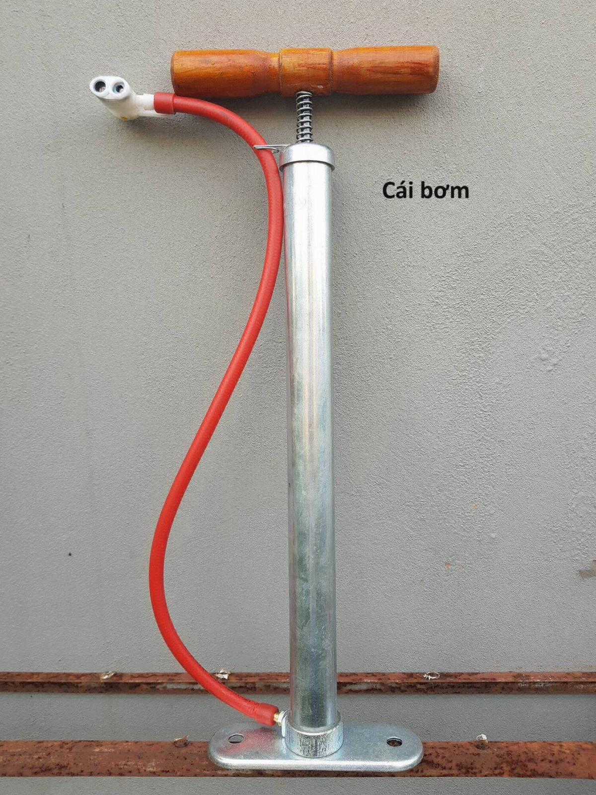 Hổ Đến Chơi Nhà (bản Puchimasu Tự) Chapter 69 trang 66