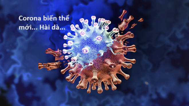 Hổ Đến Chơi Nhà (bản Puchimasu Tự) Chapter 72 trang 67