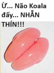 Hổ Đến Chơi Nhà (bản Puchimasu Tự) Chapter 72 trang 73