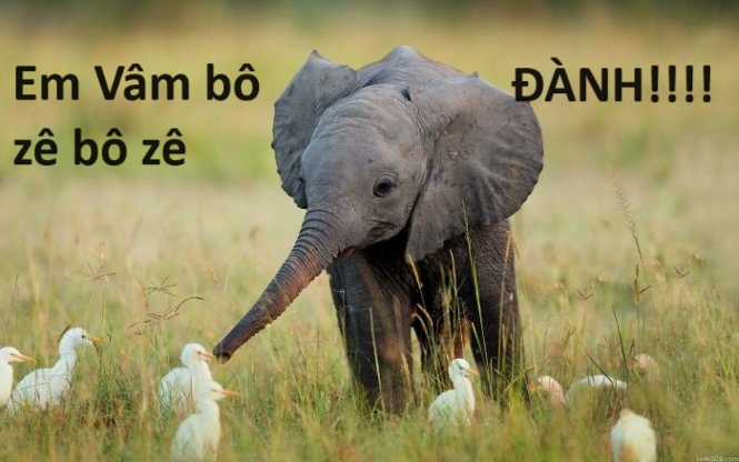 Hổ Đến Chơi Nhà (bản Puchimasu Tự) Chapter 72 trang 75