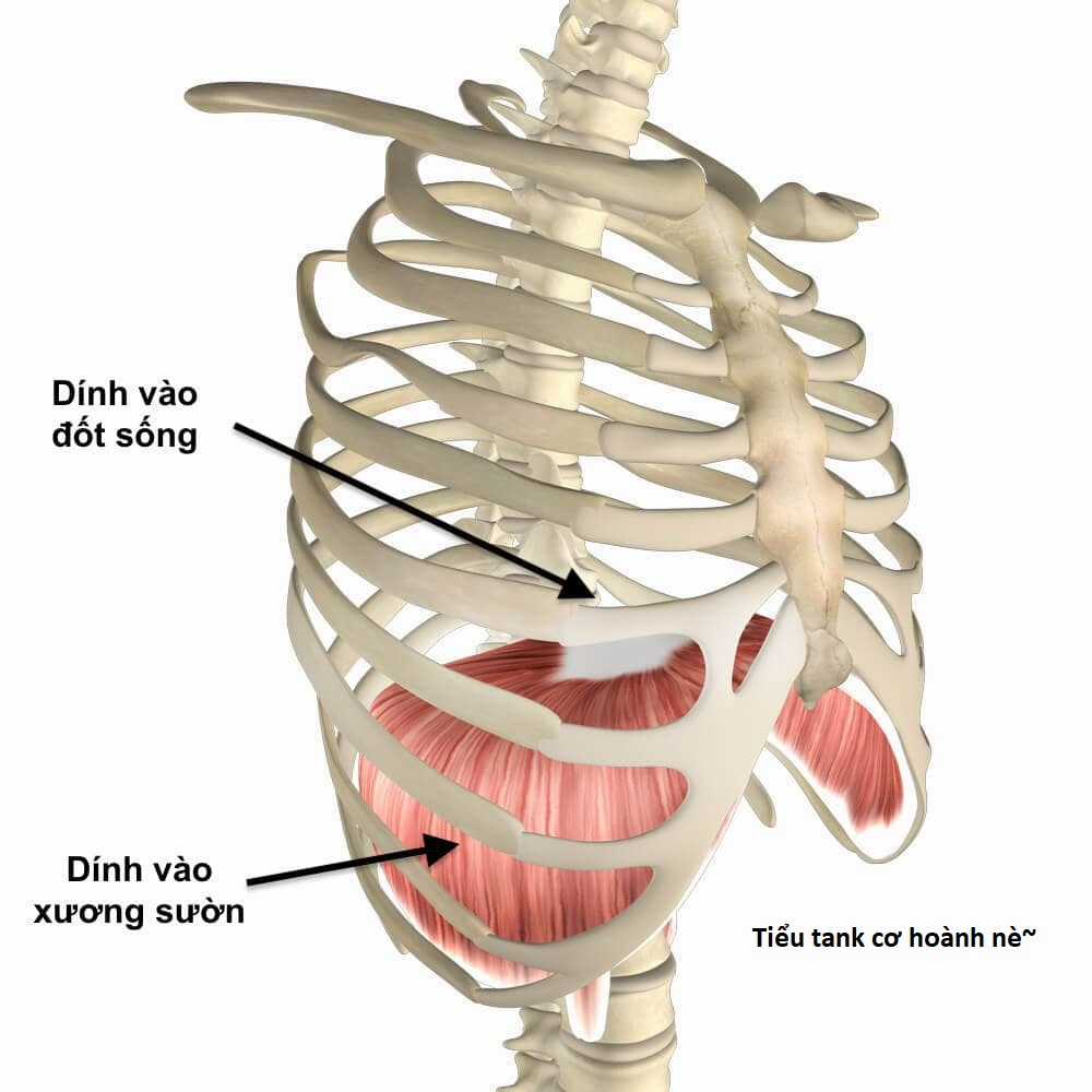 Hổ Đến Chơi Nhà (bản Puchimasu Tự) Chapter 75 trang 65