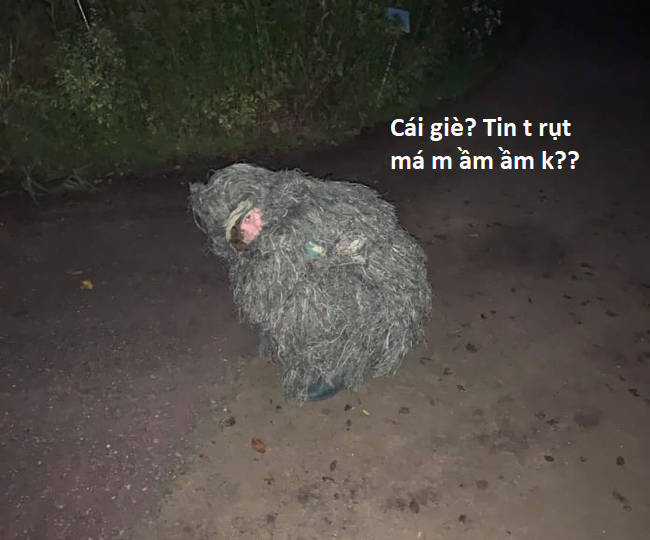 Hổ Đến Chơi Nhà (bản Puchimasu Tự) Chapter 76 trang 72