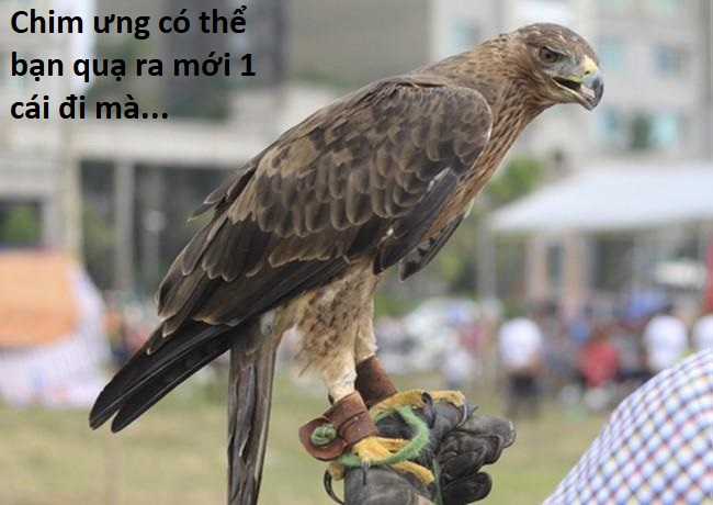 Hổ Đến Chơi Nhà (bản Puchimasu Tự) Chapter 80 trang 81