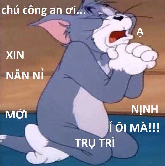 Hổ Đến Chơi Nhà (bản Puchimasu Tự) Chapter 84 trang 95