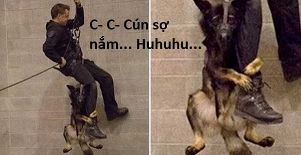 Hổ Đến Chơi Nhà (bản Puchimasu Tự) Chapter 85 trang 80
