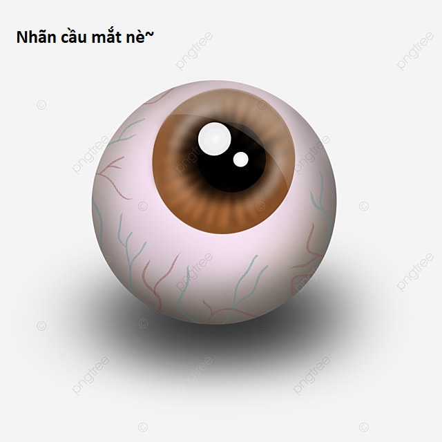 Hổ Đến Chơi Nhà (bản Puchimasu Tự) Chapter 88 trang 60