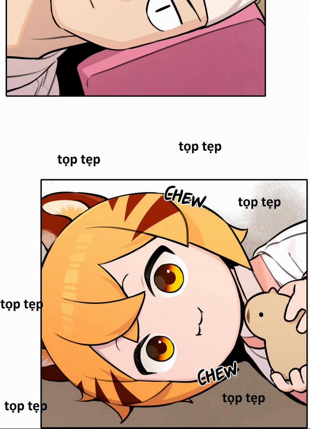 Hổ Đến Chơi Nhà (bản Puchimasu Tự) Chapter 91 trang 17