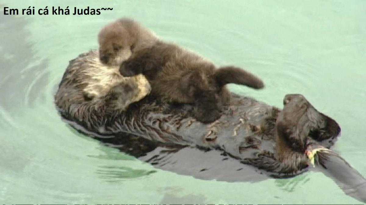 Hổ Đến Chơi Nhà (bản Puchimasu Tự) Chapter 93 trang 68