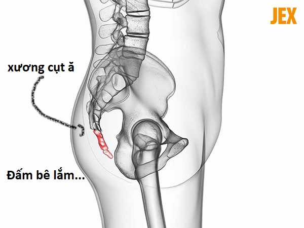 Hổ Đến Chơi Nhà (bản Puchimasu Tự) Chapter 94 trang 86