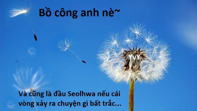 Hổ Đến Chơi Nhà (bản Puchimasu Tự) Chapter 94 trang 90