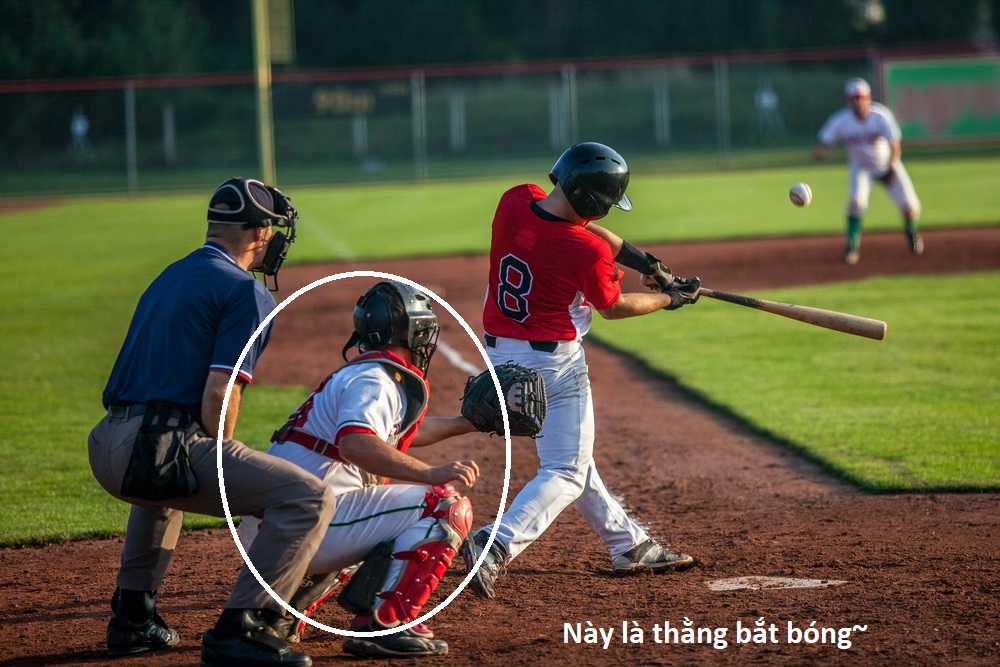 Hổ Đến Chơi Nhà (bản Puchimasu Tự) Chapter 96 trang 15