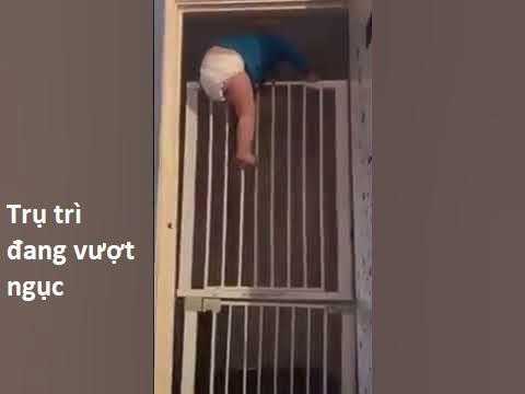 Hổ Đến Chơi Nhà (bản Puchimasu Tự) Chapter 97 trang 146