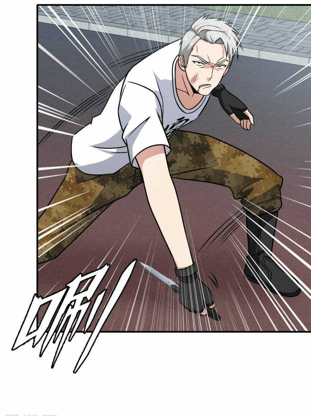 Hộ Hoa Cao Thủ Tại Đô Thị Chapter 110 trang 13