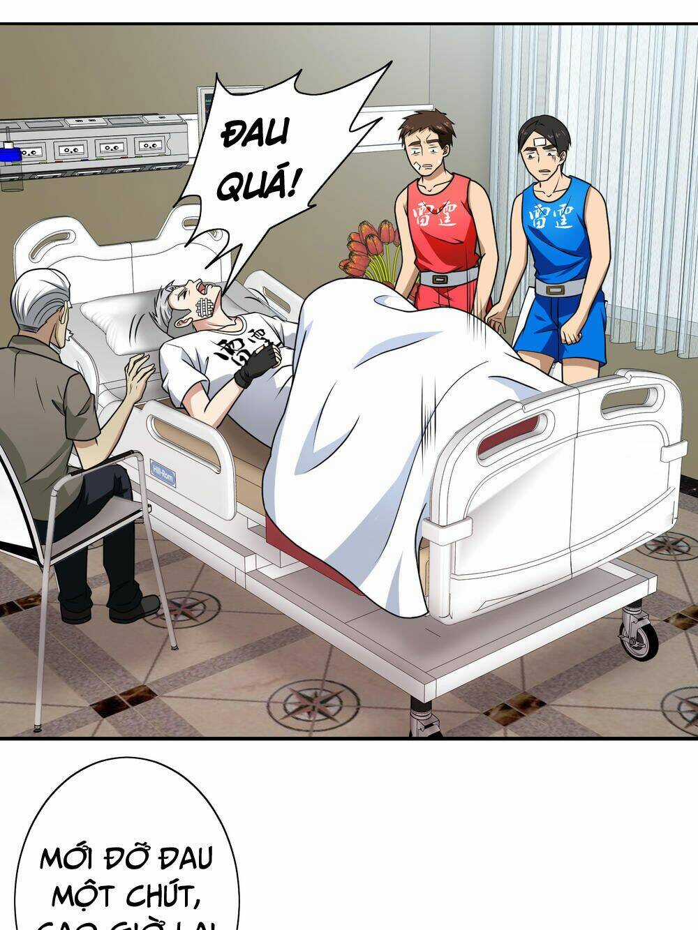 Hộ Hoa Cao Thủ Tại Đô Thị Chapter 111 trang 12