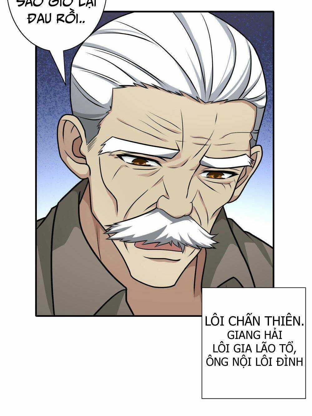 Hộ Hoa Cao Thủ Tại Đô Thị Chapter 111 trang 13