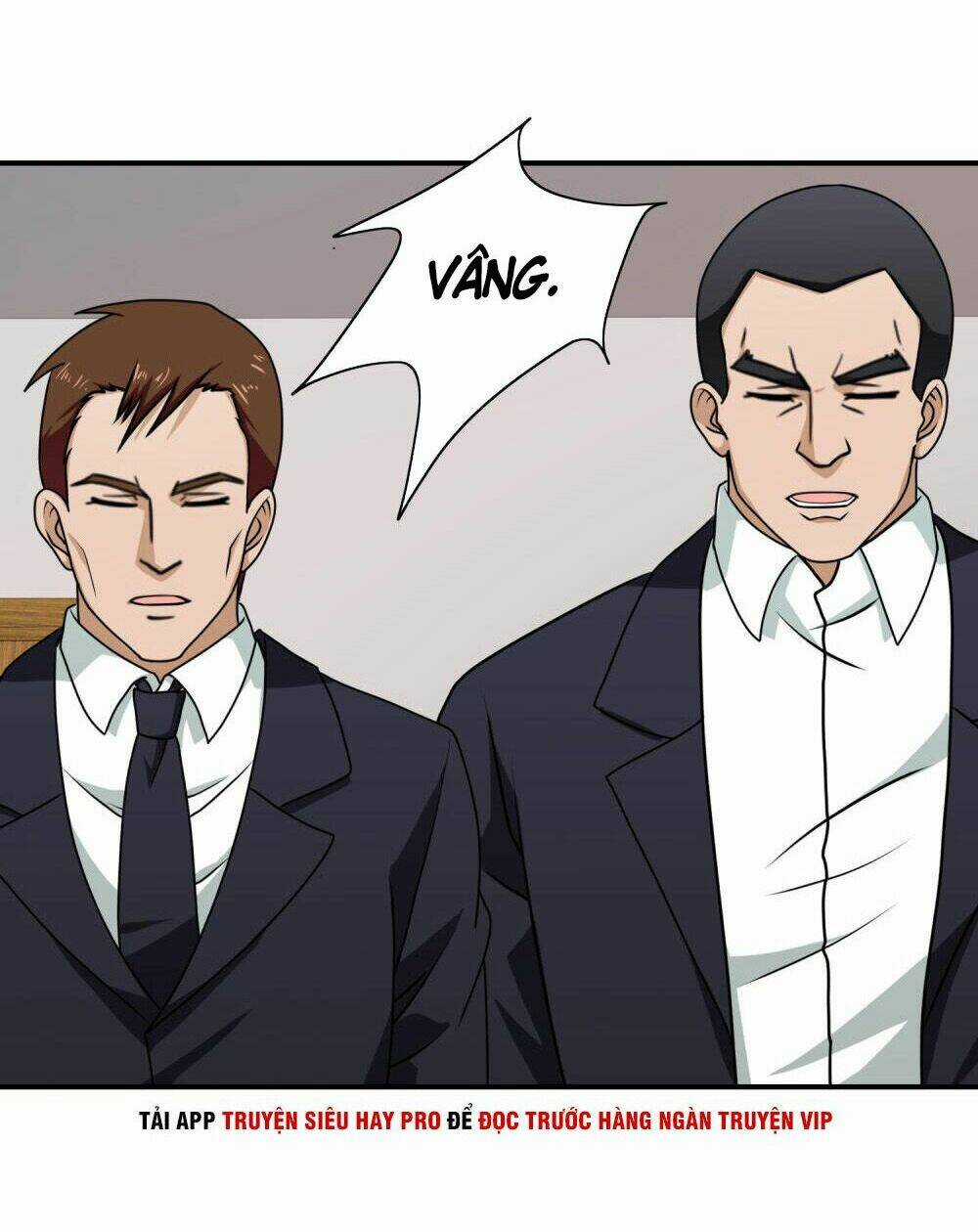 Hộ Hoa Cao Thủ Tại Đô Thị Chapter 114 trang 13