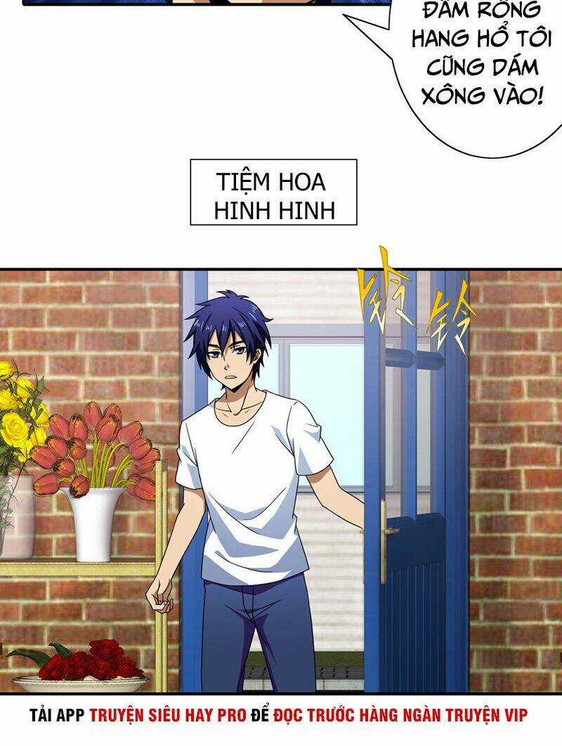 Hộ Hoa Cao Thủ Tại Đô Thị Chapter 137 trang 19