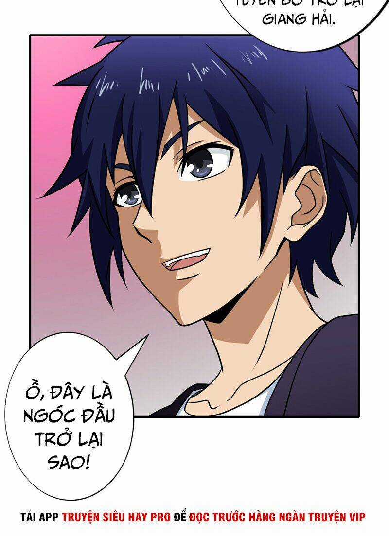 Hộ Hoa Cao Thủ Tại Đô Thị Chapter 141 trang 5