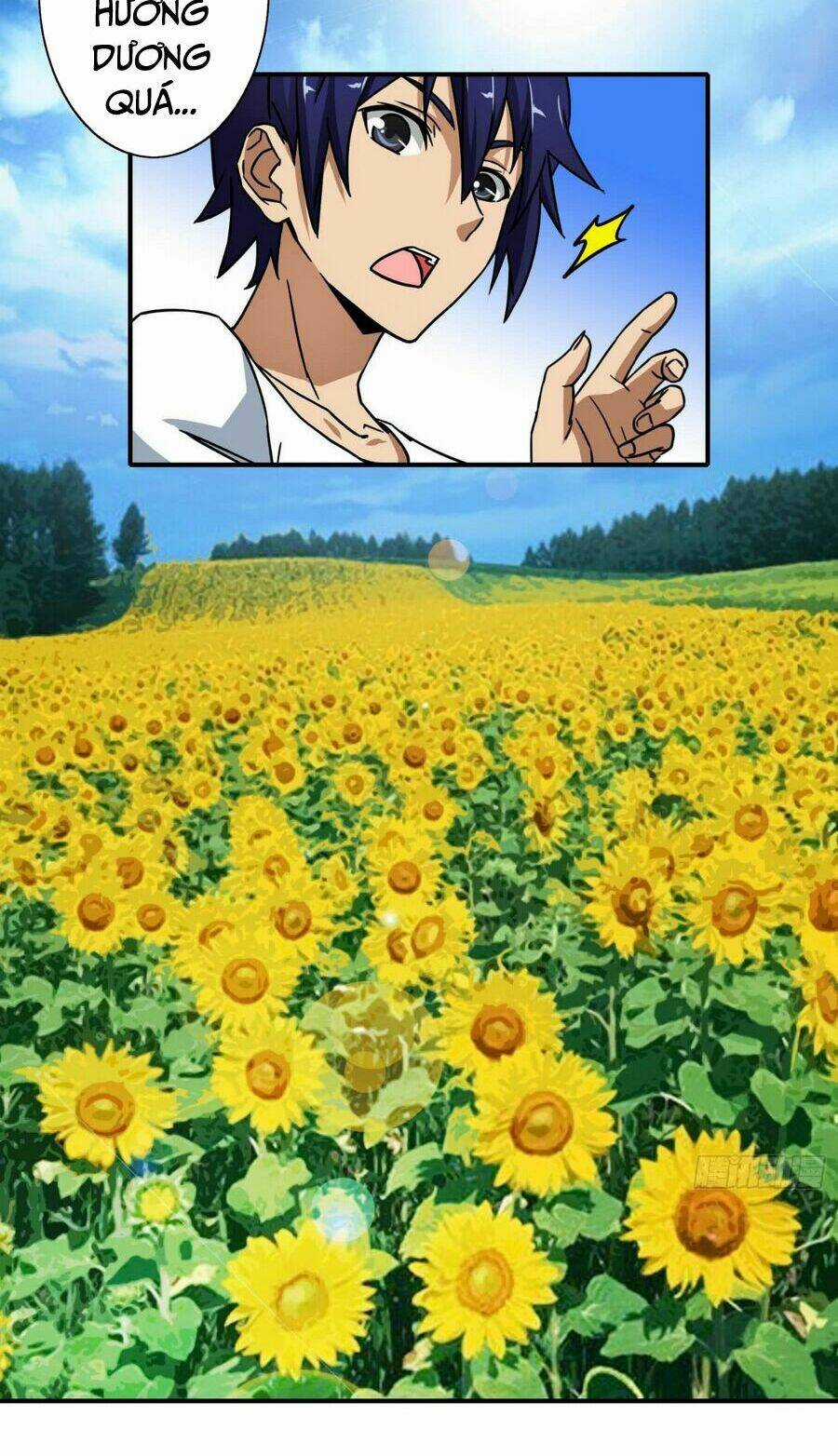 Hộ Hoa Cao Thủ Tại Đô Thị Chapter 15 trang 14