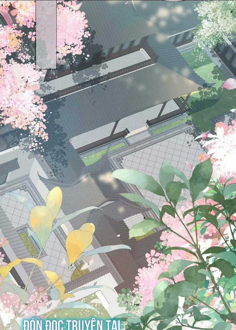 Hồ Ly Cáo Già Và Bạch Liên Hoa Cao Lãnh , Ai Sẽ Lộ Tẩy Trước Đây? Chapter 1 trang 23