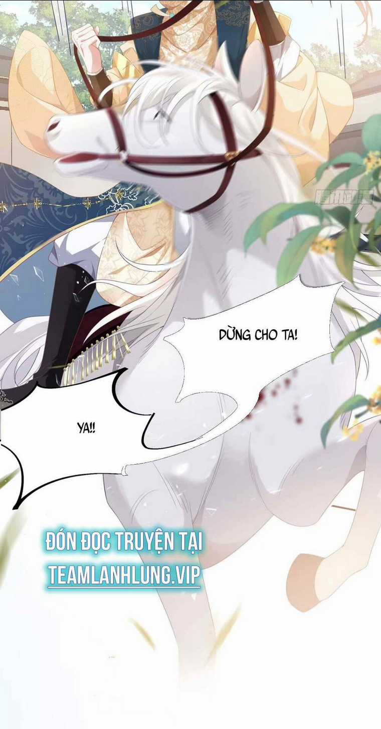 Hồ Ly Cáo Già Và Bạch Liên Hoa Cao Lãnh , Ai Sẽ Lộ Tẩy Trước Đây? Chapter 1 trang 51