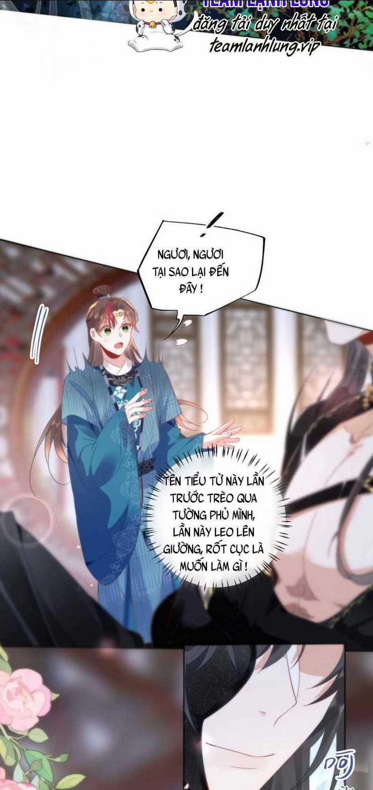 Hồ Ly Cáo Già Và Bạch Liên Hoa Cao Lãnh , Ai Sẽ Lộ Tẩy Trước Đây? Chapter 12 trang 22