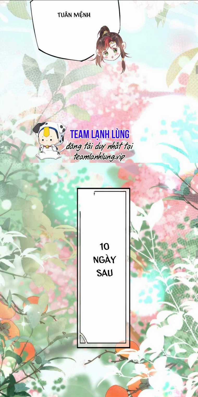 Hồ Ly Cáo Già Và Bạch Liên Hoa Cao Lãnh , Ai Sẽ Lộ Tẩy Trước Đây? Chapter 15 trang 25