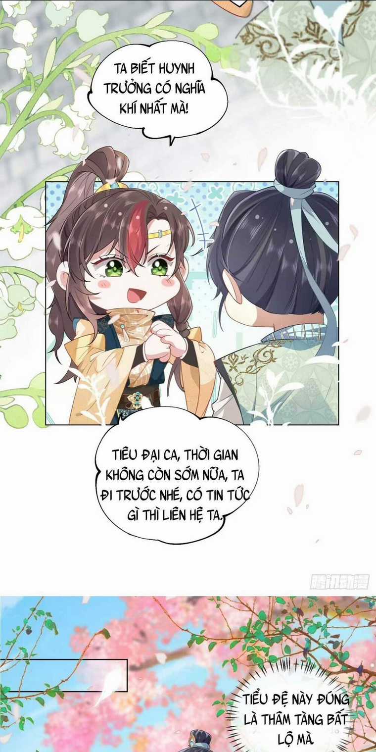 Hồ Ly Cáo Già Và Bạch Liên Hoa Cao Lãnh , Ai Sẽ Lộ Tẩy Trước Đây? Chapter 2 trang 24