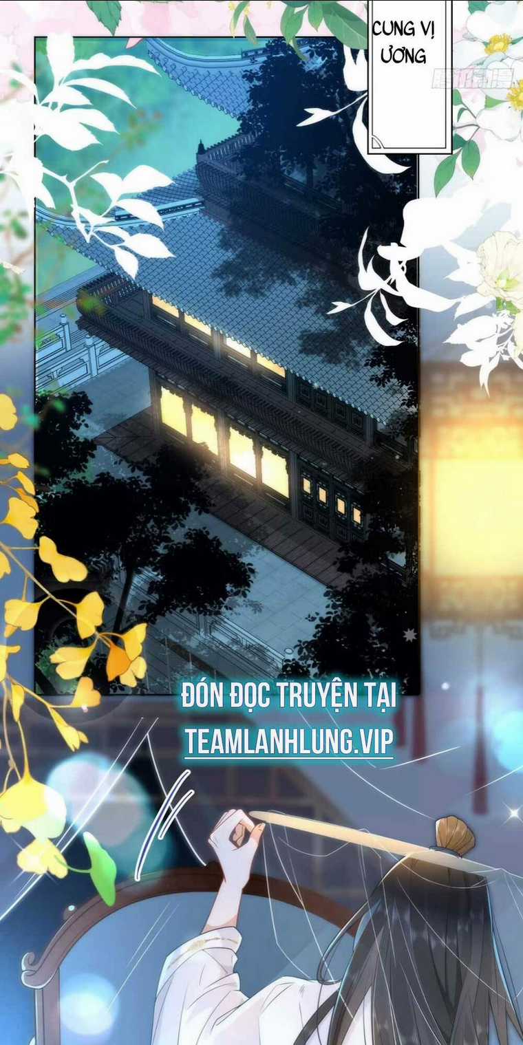 Hồ Ly Cáo Già Và Bạch Liên Hoa Cao Lãnh , Ai Sẽ Lộ Tẩy Trước Đây? Chapter 2 trang 27