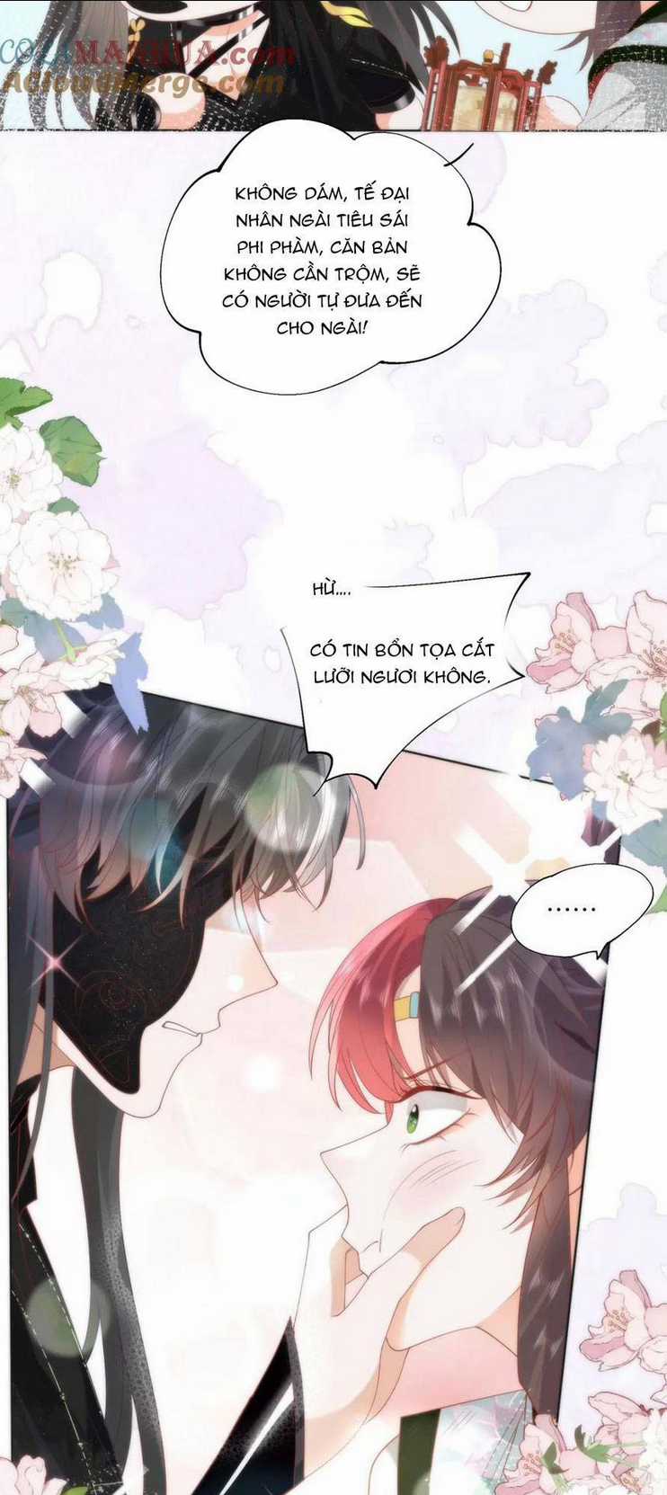 Hồ Ly Cáo Già Và Bạch Liên Hoa Cao Lãnh , Ai Sẽ Lộ Tẩy Trước Đây? Chapter 28 trang 5