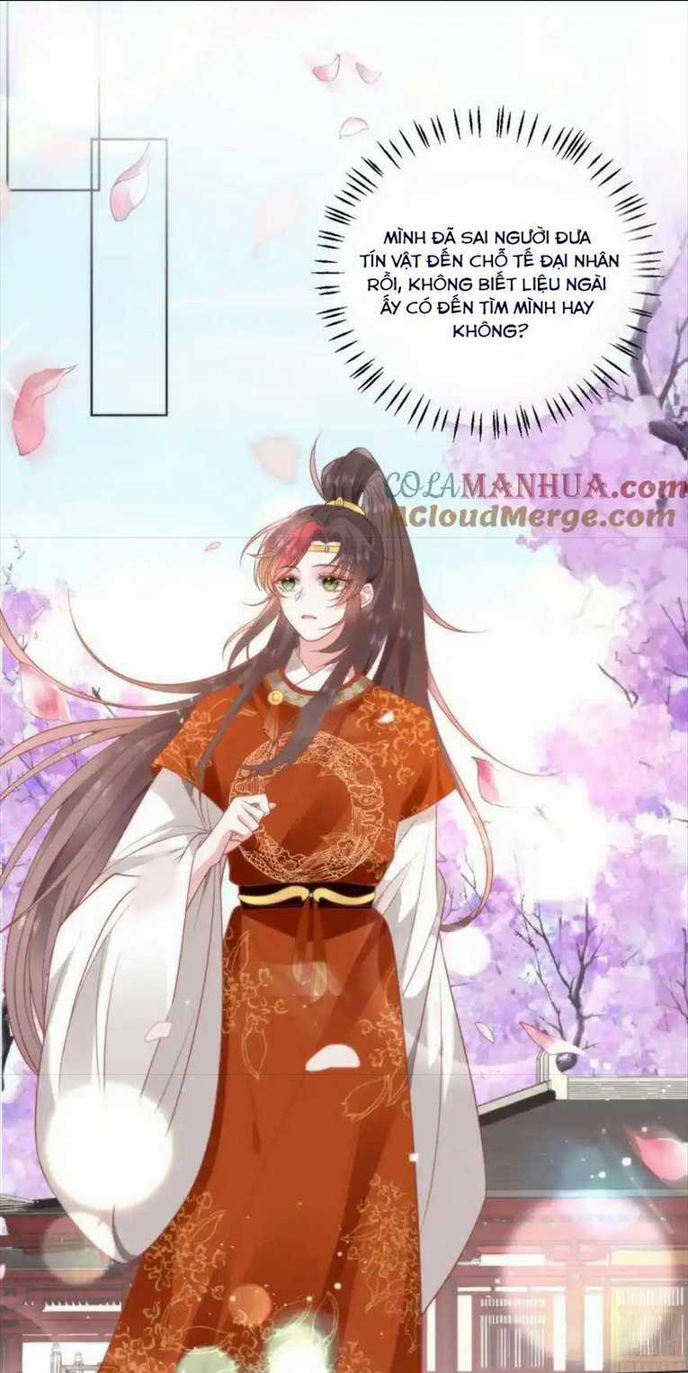 Hồ Ly Cáo Già Và Bạch Liên Hoa Cao Lãnh , Ai Sẽ Lộ Tẩy Trước Đây? Chapter 32 trang 14