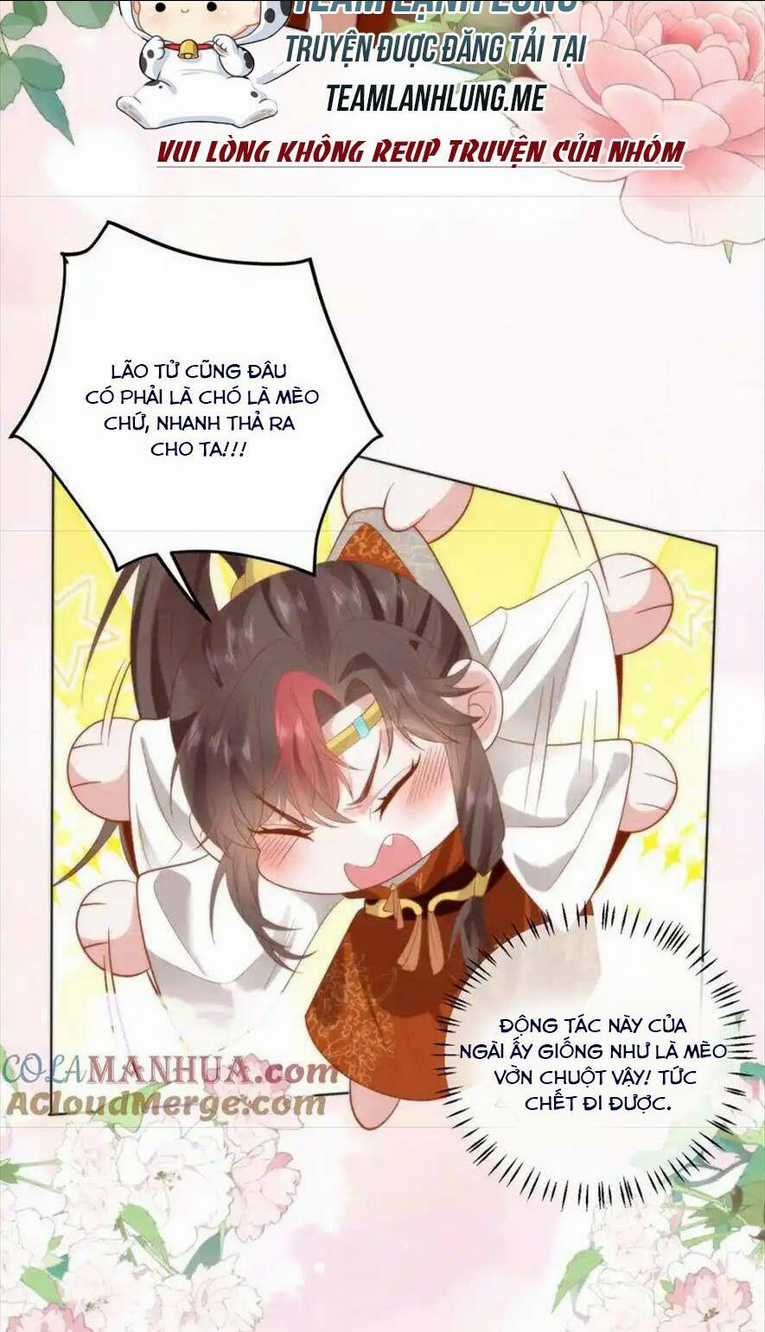 Hồ Ly Cáo Già Và Bạch Liên Hoa Cao Lãnh , Ai Sẽ Lộ Tẩy Trước Đây? Chapter 32 trang 32