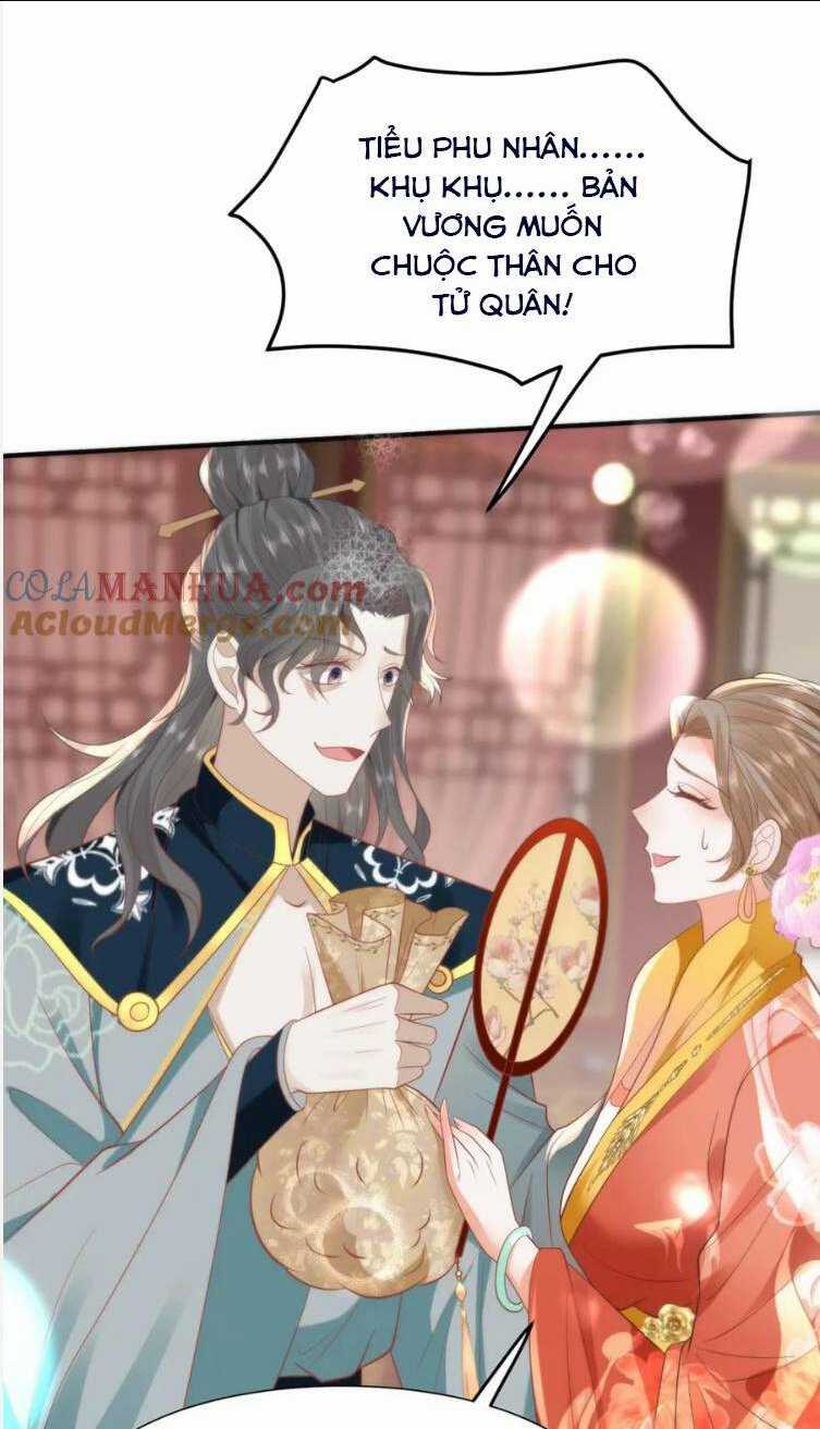 Hồ Ly Cáo Già Và Bạch Liên Hoa Cao Lãnh , Ai Sẽ Lộ Tẩy Trước Đây? Chapter 34 trang 14