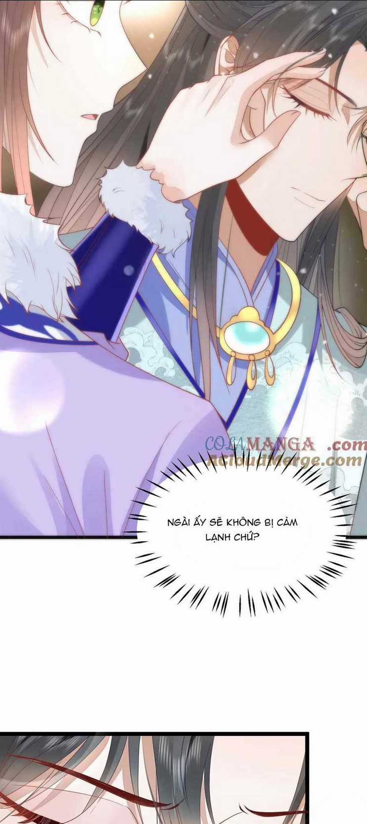 Hồ Ly Cáo Già Và Bạch Liên Hoa Cao Lãnh , Ai Sẽ Lộ Tẩy Trước Đây? Chapter 39 trang 12