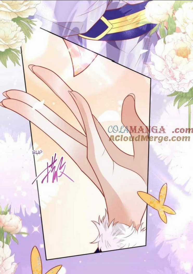 Hồ Ly Cáo Già Và Bạch Liên Hoa Cao Lãnh , Ai Sẽ Lộ Tẩy Trước Đây? Chapter 40 trang 14