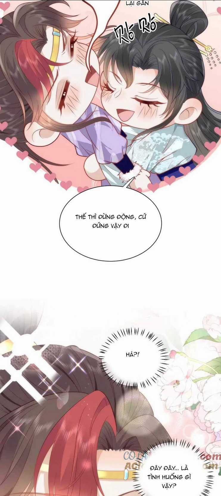 Hồ Ly Cáo Già Và Bạch Liên Hoa Cao Lãnh , Ai Sẽ Lộ Tẩy Trước Đây? Chapter 40 trang 5