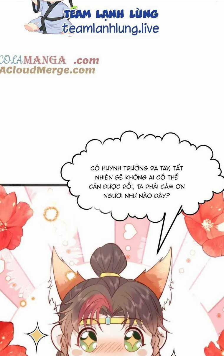 Hồ Ly Cáo Già Và Bạch Liên Hoa Cao Lãnh , Ai Sẽ Lộ Tẩy Trước Đây? Chapter 41 trang 29