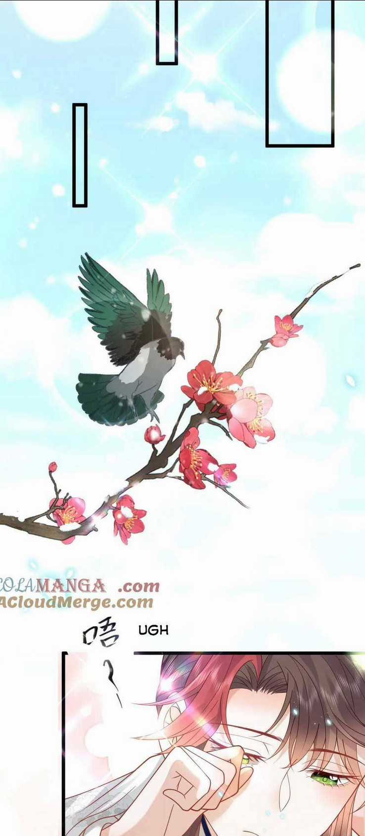 Hồ Ly Cáo Già Và Bạch Liên Hoa Cao Lãnh , Ai Sẽ Lộ Tẩy Trước Đây? Chapter 44 trang 19