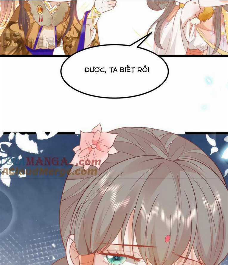 Hồ Ly Cáo Già Và Bạch Liên Hoa Cao Lãnh , Ai Sẽ Lộ Tẩy Trước Đây? Chapter 45 trang 28