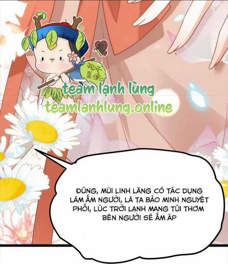 Hồ Ly Cáo Già Và Bạch Liên Hoa Cao Lãnh , Ai Sẽ Lộ Tẩy Trước Đây? Chapter 45 trang 31
