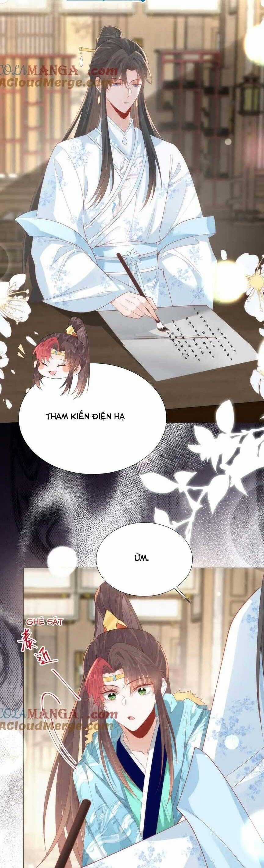 Hồ Ly Cáo Già Và Bạch Liên Hoa Cao Lãnh , Ai Sẽ Lộ Tẩy Trước Đây? Chapter 50 trang 9