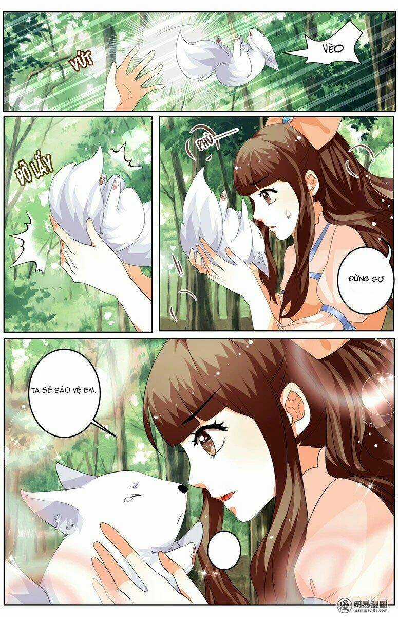 Hồ Thoại Hồ Thuyết Chapter 27 trang 8