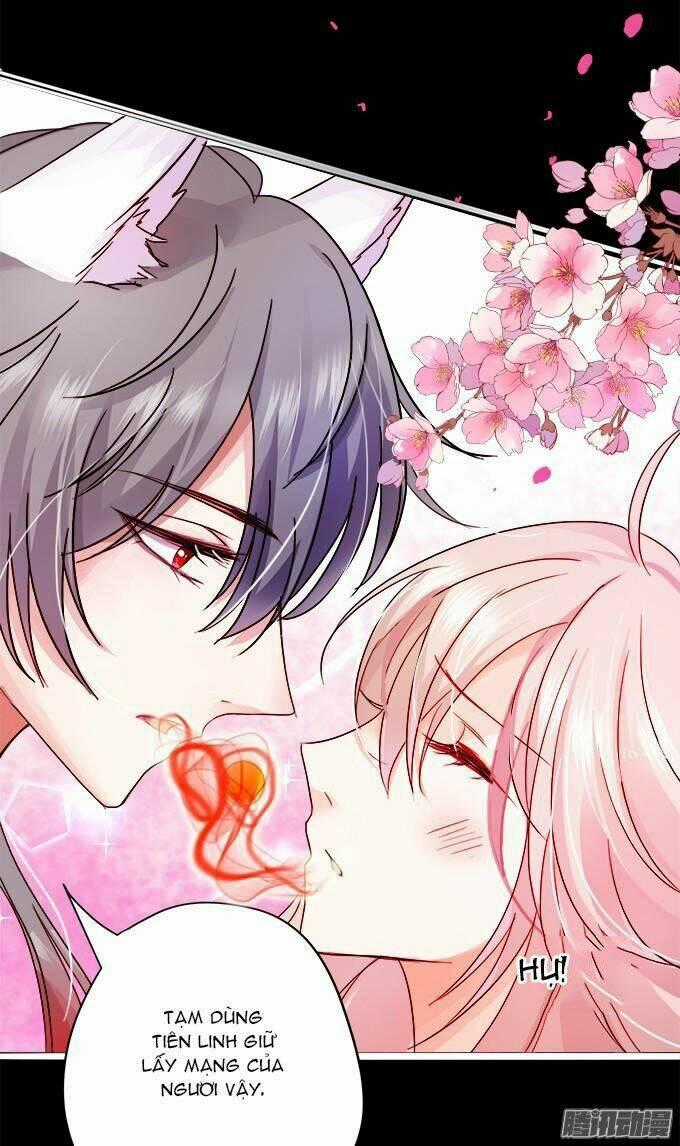 HỒ TIÊN HUNG BẠO Chapter 1 trang 96