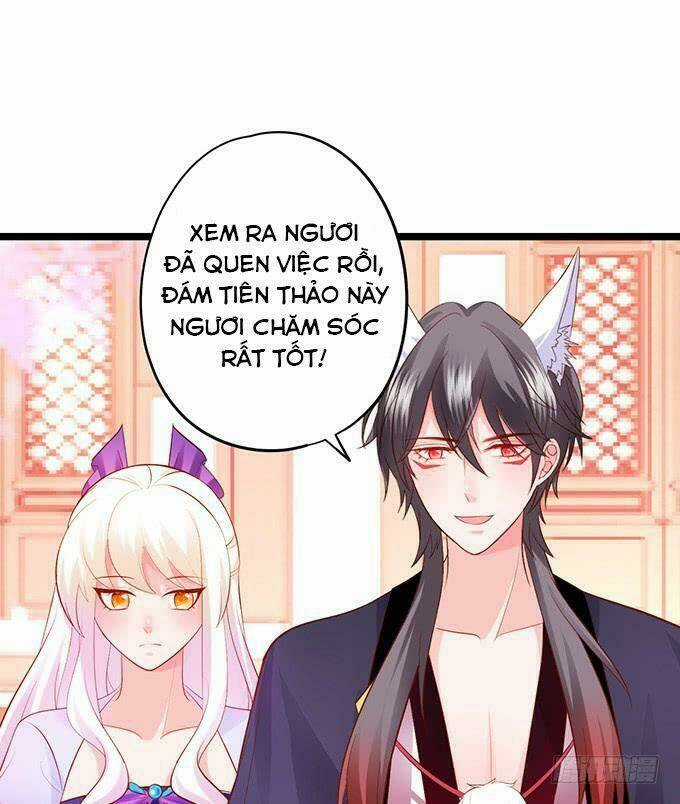 HỒ TIÊN HUNG BẠO Chapter 137 trang 19