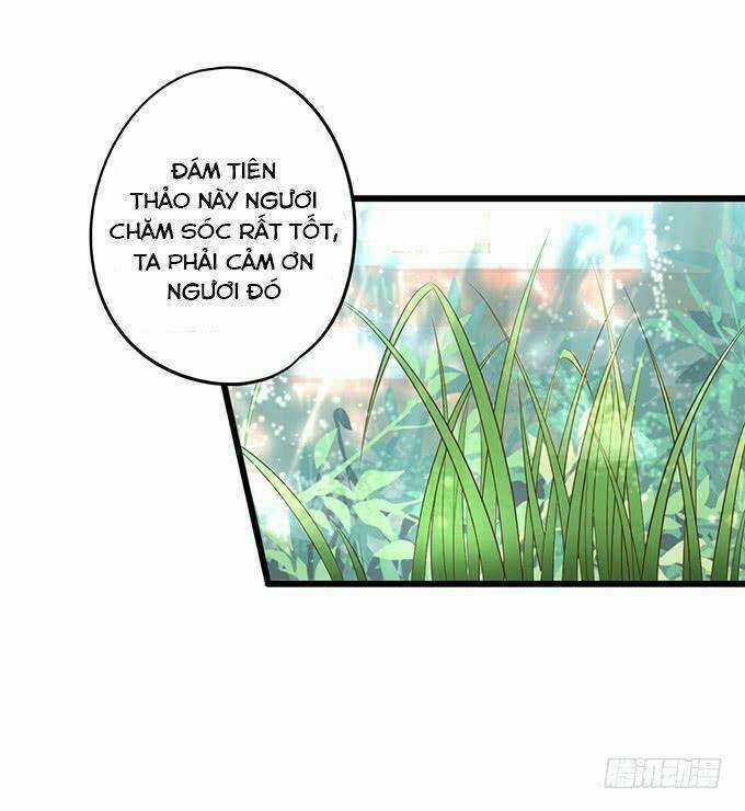 HỒ TIÊN HUNG BẠO Chapter 137 trang 24
