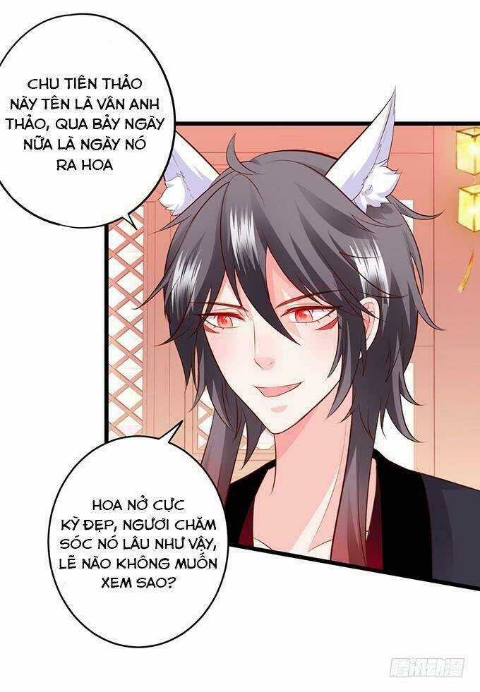 HỒ TIÊN HUNG BẠO Chapter 137 trang 31