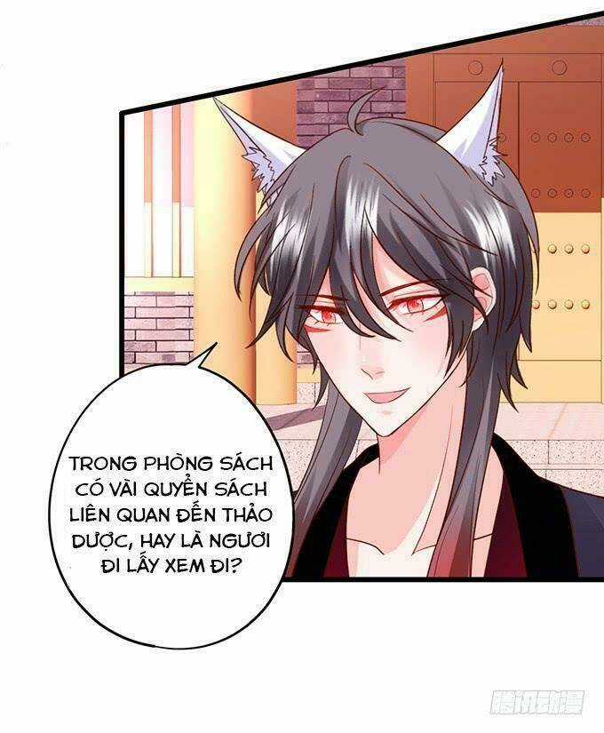 HỒ TIÊN HUNG BẠO Chapter 137 trang 47
