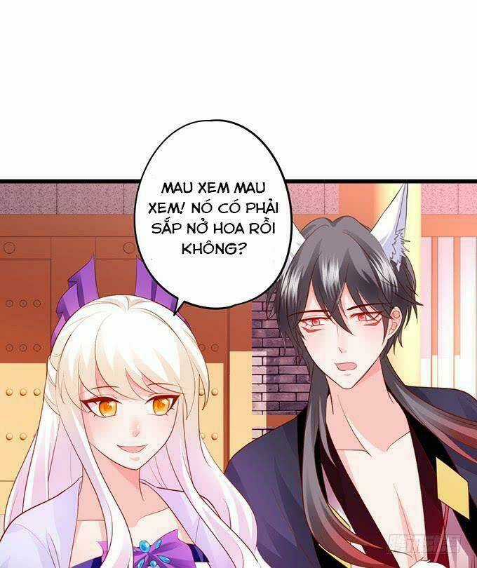 HỒ TIÊN HUNG BẠO Chapter 137 trang 52
